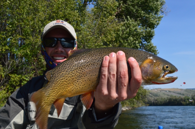 Western Spring Skwalas on the Bitterroot River - Fly Fisherman